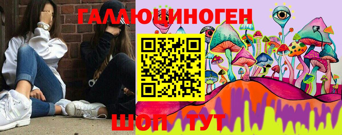 цена наркотик  Псилоцибиновые грибы GOLDEN TEACHER  Саров  Галлюциногенные грибы MAGIC MUSHROOMS 