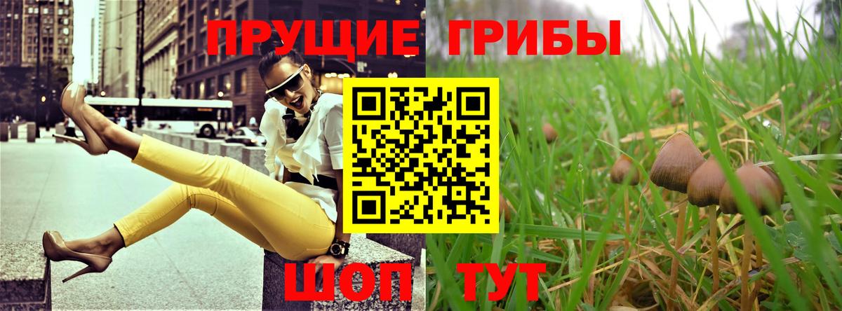 Галлюциногенные грибы мицелий  купить  сайты  Саров  Вход с VPN 